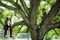 audrey-dana-dans-les-arbres-jpg
