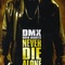 Affiche du film Never Die Alone - Never Die Alone 