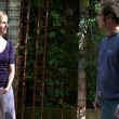 sandrine kiberlain vincent lindon
