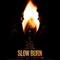 Affiche du film Slow Burn - Slow Burn 