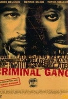 Affiche miniature du film Criminal Gang