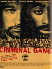 Affiche du film Criminal Gang