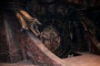 d  cor 3 du film solomon kane