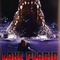 Affiche du film Lake Placid - Lake Placid 