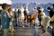 photo-du-film-png
