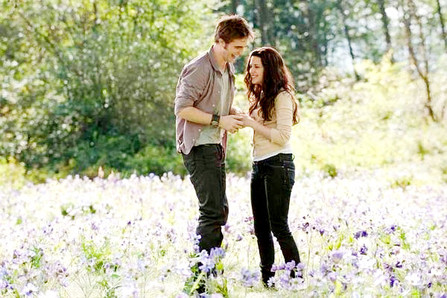 champ de fleurs edward et bella