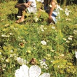 photo du film 7