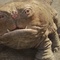 john-carter-le-film-jpg - John Carter 