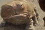john-carter-le-film-jpg