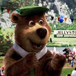 Yogi bear
