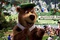 Yogi bear