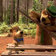 Yogi dans la forêt