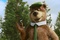 Yogi l'ours