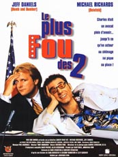 Affiche du film Le Plus Fou Des 2