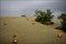 les-lampes-sur-la-plage-jpg