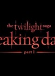 The Twilight saga - Breaking Down - part 1