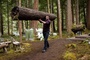 tronc-d-arbre-jpg