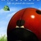 Affiche du film Minuscule - La Vie Privée Des Insectes : DVD 1 - Minuscule - La Vie Privée Des Insectes : DVD 1 