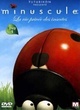 Affiche du film Minuscule - La Vie Privée Des Insectes : DVD 1