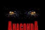 Affiche du film Anaconda, le prédateur