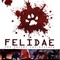 Affiche du film Felidae - Felidae 
