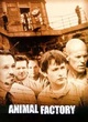 Affiche du film Animal factory