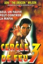 Affiche miniature du film Cercles De Feu 3