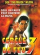 Affiche du film Cercles De Feu 3