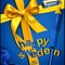 Affiche du film Happy Sweden - Happy Sweden 