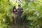 vanessa-hudgens-josh-hutcherson-jpg