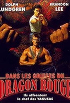 Affiche miniature du film Dans Les Griffes Du Dragon Rouge