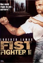 Affiche miniature du film Fist fighter 2