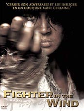Affiche du film Fighter In The Wind