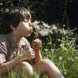 documentaire-de-claude-nuridsany-la-cle-des-champs-jpg