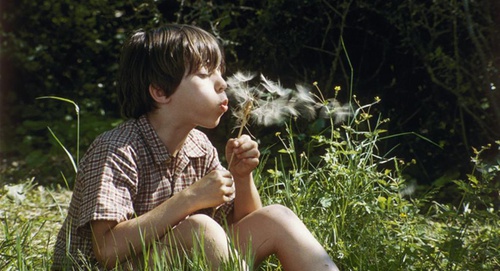 documentaire-de-claude-nuridsany-la-cle-des-champs-jpg