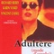 Affiche du film Adultère Mode d'Emploi - Adultère Mode d'Emploi 