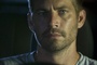 paul walker portrait