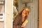 nathalie baye dans de vrais mensonges