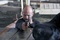 le flingueur   jason statham 3