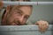 edward-norton-en-sang-jpg