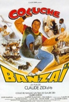 Affiche miniature du film Banzaï