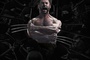 wolverine-jpg
