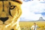 Affiche du film Duma