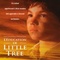 Affiche du film L'Education de Little Tre - L'Education de Little Tre 