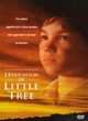 Affiche du film L'Education de Little Tre