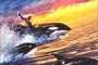 Affiche du film Sauvez Willy 2 : La Nouvelle Aventure