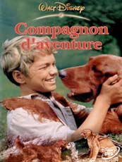Affiche du film Compagnon d'aventures