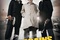Affiche du film Les parrains