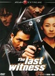 Affiche du film The last witness