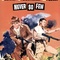Affiche du film La proie des vautours - La proie des vautours 